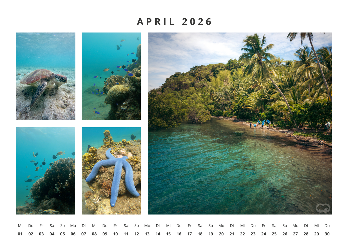 Pro Ocean Kalender 2026 - Limited Edition A3